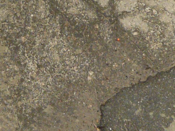 Rough brown asphalt texture, covered with cracks, broken and damp areas, and a large black tar patch.